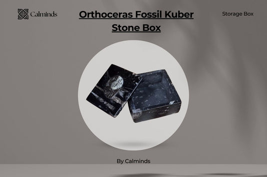 Explore The Spiritual Power Behind Orthoceras Fossil Kuber Stone Box