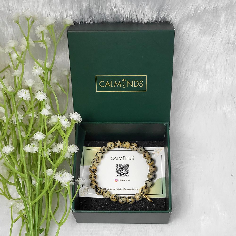 Dalmatian Jasper Bracelet inside a box | Gemini