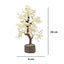 Clear Quartz Crystal Tree measurements