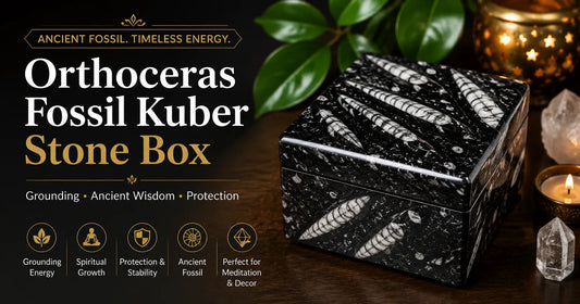 Orthoceras Fossil Kuber Stone Box with natural fossil patterns showing benefits, spiritual meaning, and ancient marine fossil history
