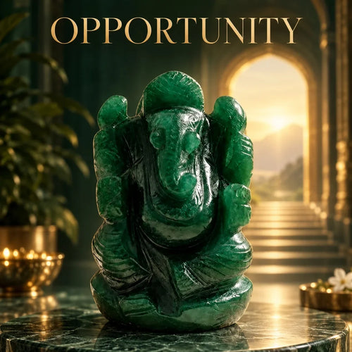 Opportunity
