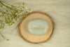 Amazonite Palm Stone