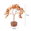 Red Color Carnelian Crystal Tree with orgonite base measurement | Calminds