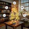 Citrine Crystal Money Tree for abundance, prosperity, positivity, focus and emotional clarity
