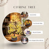 Handcrafted Citrine Crystal Money Tree with natural crystals and wooden base