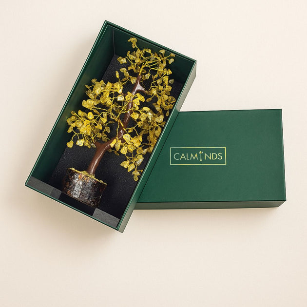 Citrine Crystal Money Tree with wooden base with green box by calminds 
