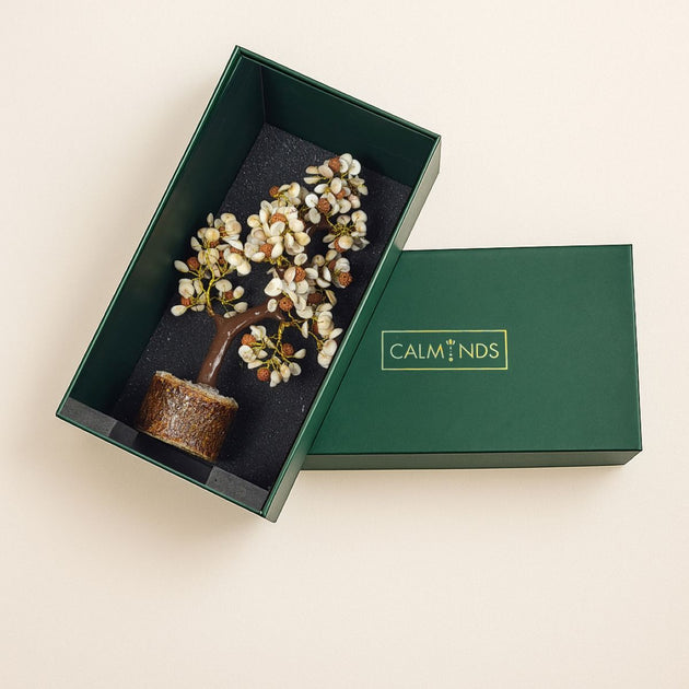 Gomti Chakra and Rudraksha Crystal Tree inside box