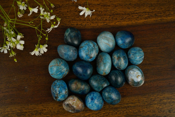 Irani Turquoise Tumbles (Set of 5) - AAA high Grade Quality