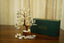 Rainbow Moonstone Crystal Tree with a green calminds box behind