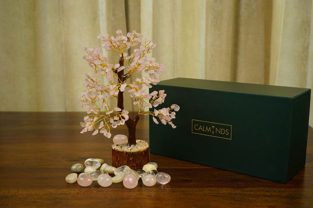 Rose Quartz Crystal Tree surrounded by pebbles with a box behind