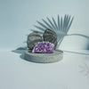 Natural Amethyst Crystal Cluster | Peace & Energy Cleansing