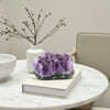 Amethyst crystal on a book with a vase and branches in the background