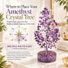 Compass diagram showing the traditional south and south-east placement for an amethyst crystal tree