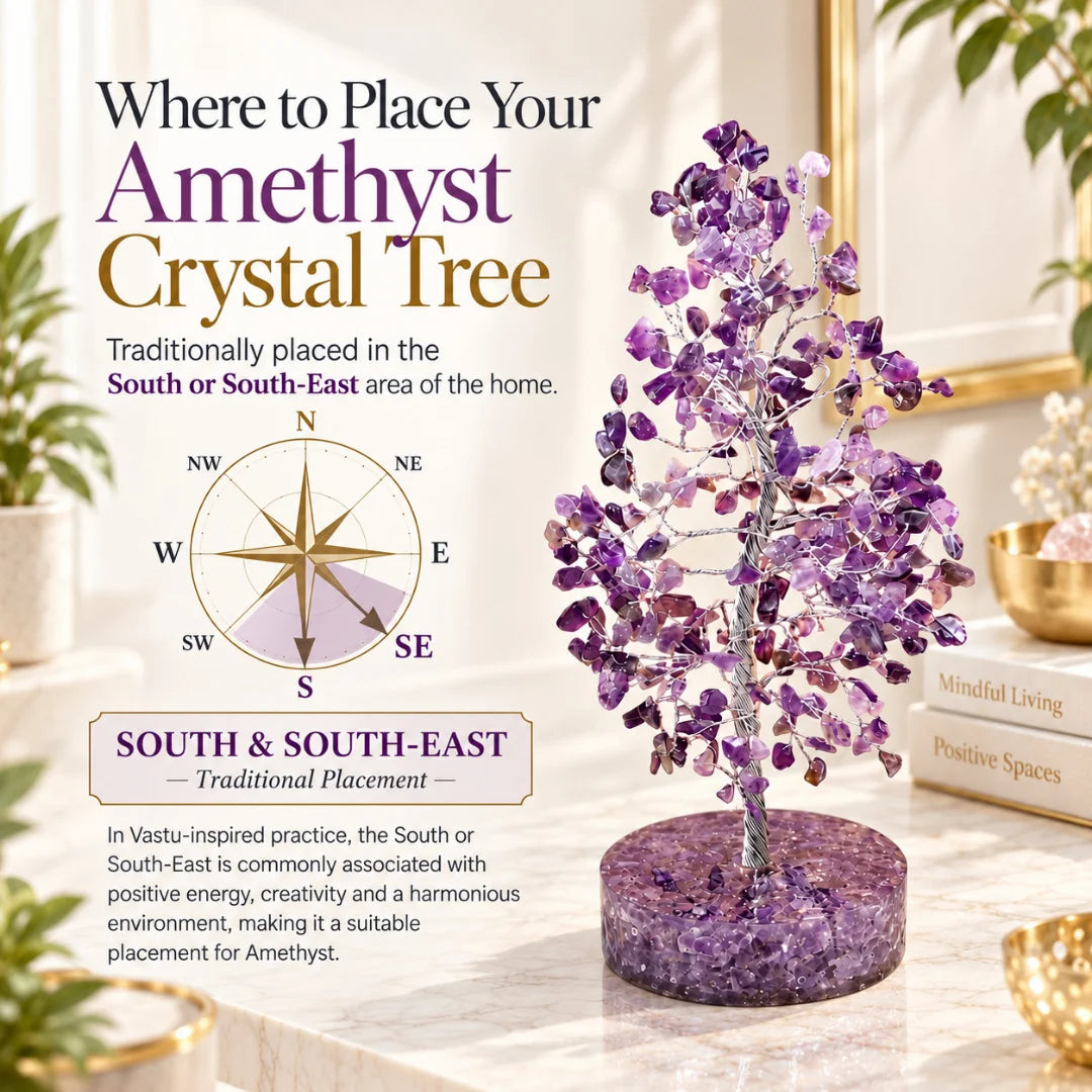 Compass diagram showing the traditional south and south-east placement for an amethyst crystal tree