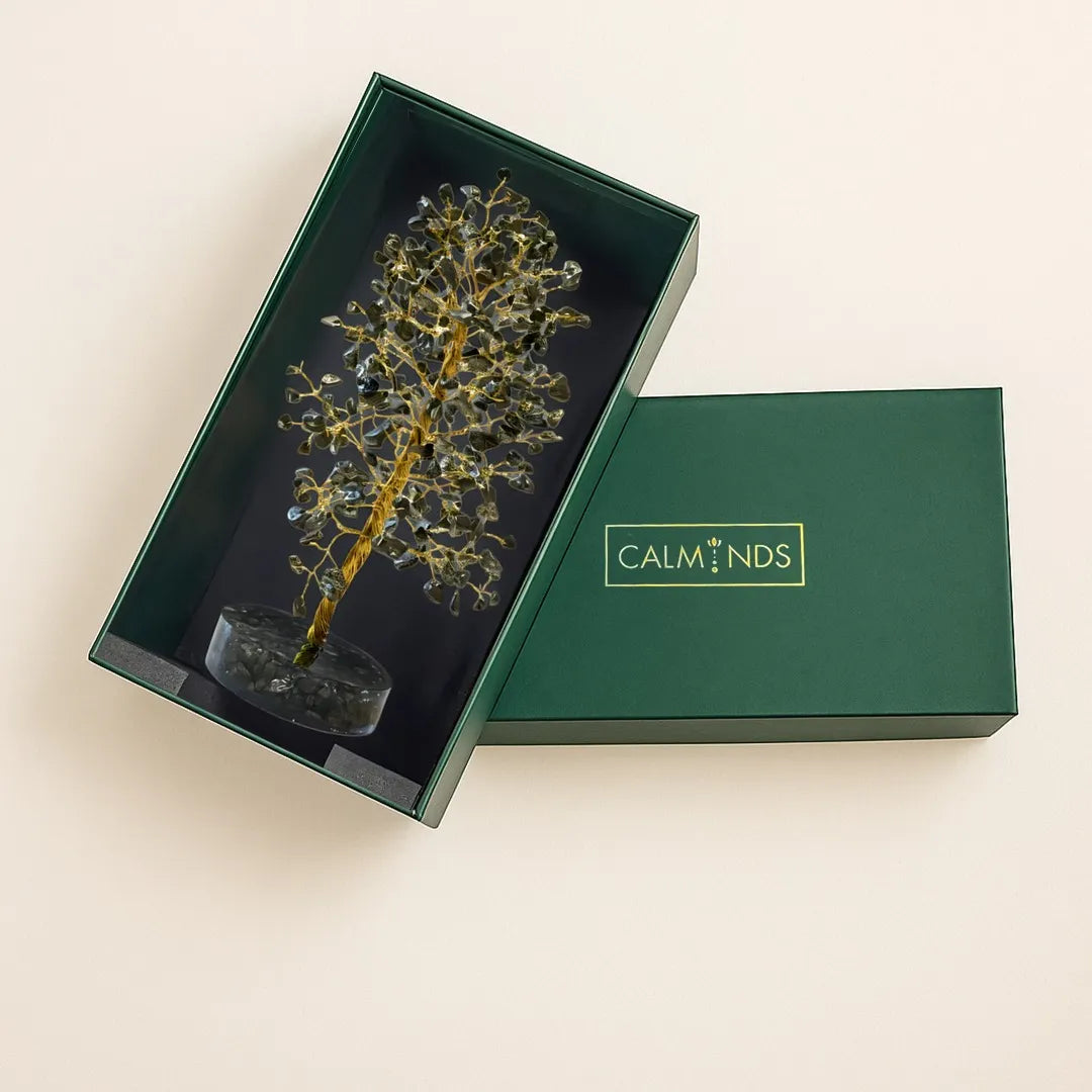 Decorative tree in a green box with 'Calm Minds' branding on a beige background