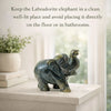 Labradorite elephant statue on a white surface with text advice