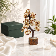 Gomti Chakra and Rudraksha Crystal Tree
