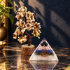 Gomti Chakra puja set with gomti chakra tree and orgonite pyramid for Lakshmi Puja – what's inside