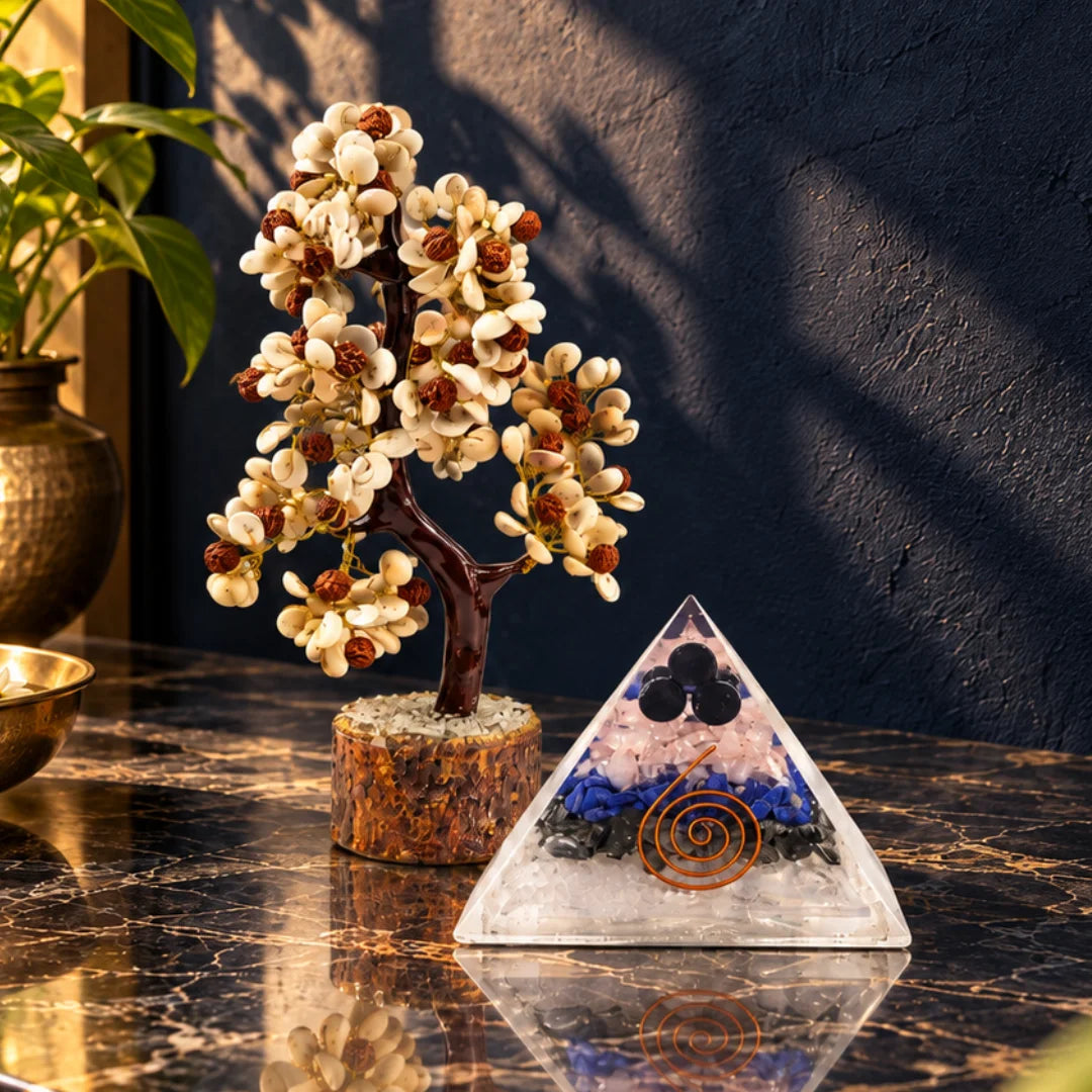 Gomti Chakra puja set with gomti chakra tree and orgonite pyramid for Lakshmi Puja – what's inside