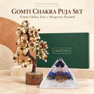 Gomti Chakra Puja Set – Gomti Chakra Tree & Orgonite Pyramid for Lakshmi Puja
