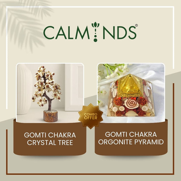 calminds combo offer with gomti chakra crystal tree and gomti chakra orgonite pyramid on a beige background