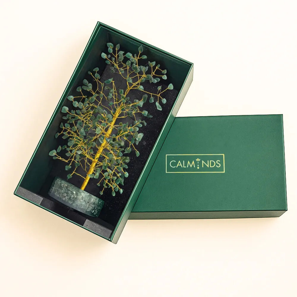 Decorative tree in a green box with 'Calm Nds' branding on a beige background