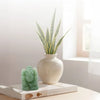 Green sculpture on a book with a vase and plant in the background
