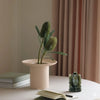 Decorative plant in a beige vase on a table with books and a green sculpture.