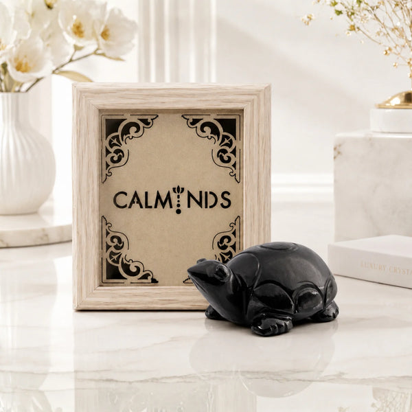 Luxury Black Onyx Turtle Sculpture | Protection Décor