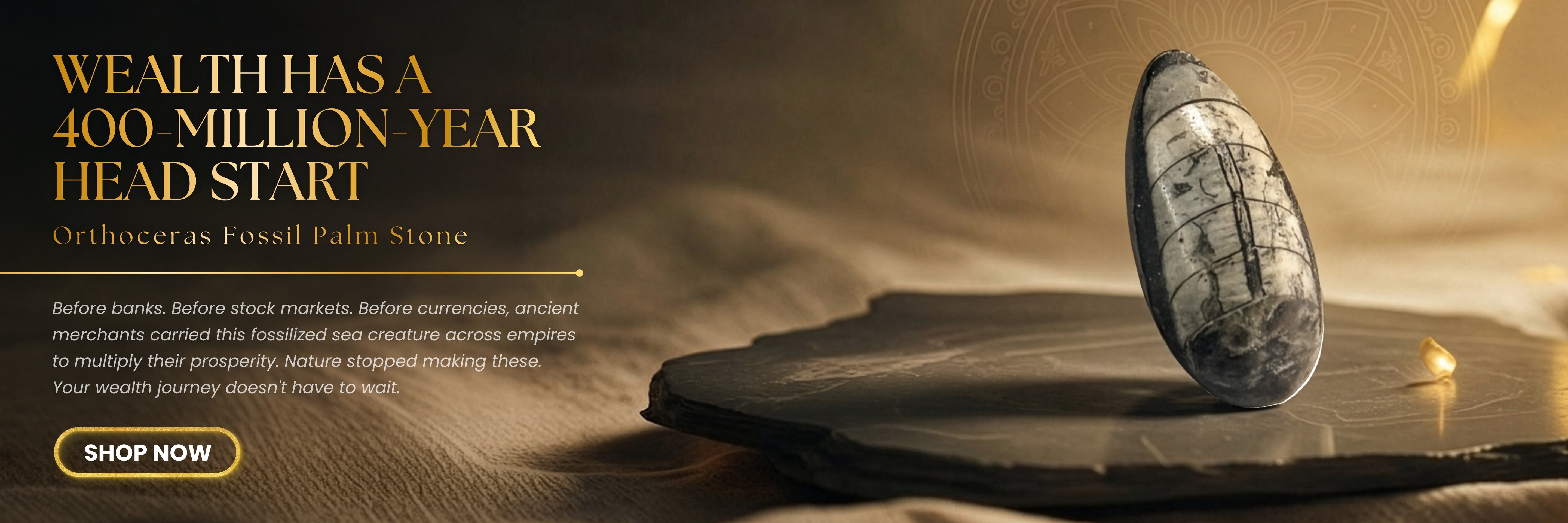 Orthoceras fossil palm stone on a sandstone surface with promotional text and call to action.