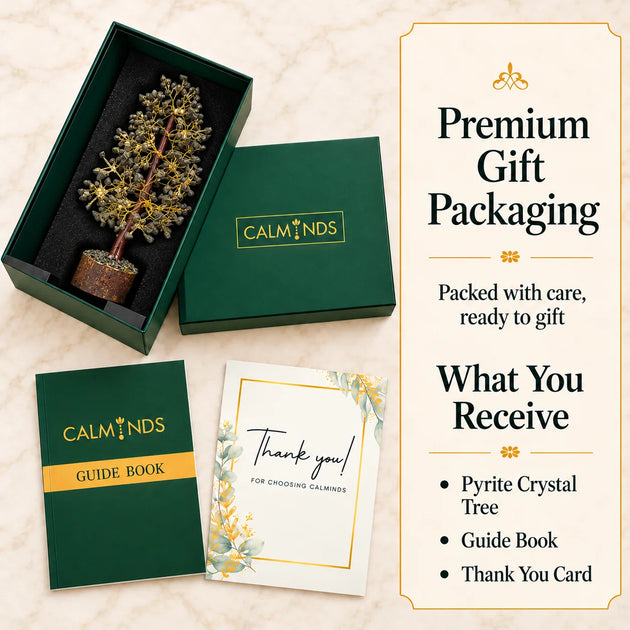 Pyrite crystal tree in Calminds green gift box with guide book and thank-you card