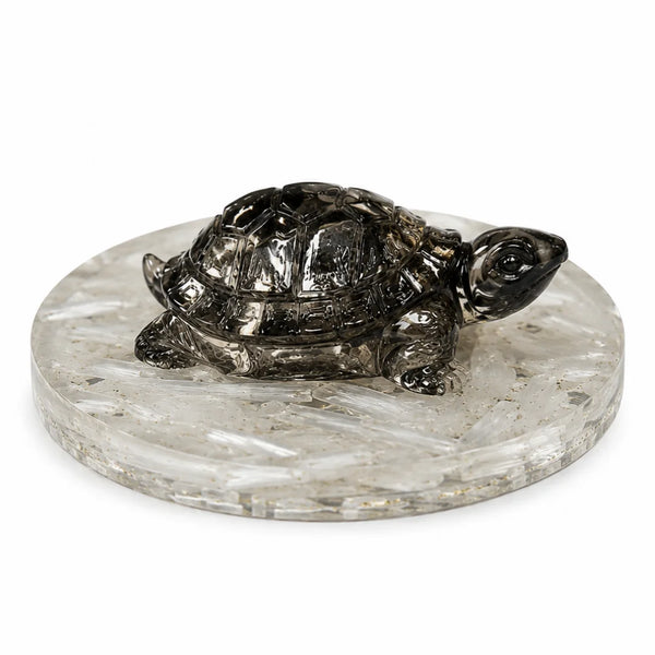 Pyrite Feng Shui Turtle with Selenite Plate for Wealth & Prosperity