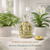 Gold Ganesha idol on a table with plants and text about attracting abundance and positivity.
