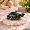 Pyrite Feng Shui Turtle with Selenite Plate in the Luxury Pyrite Laughing Buddha Set