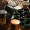 Tea ceremony with a person pouring tea into green ceramic cups on a wooden table.