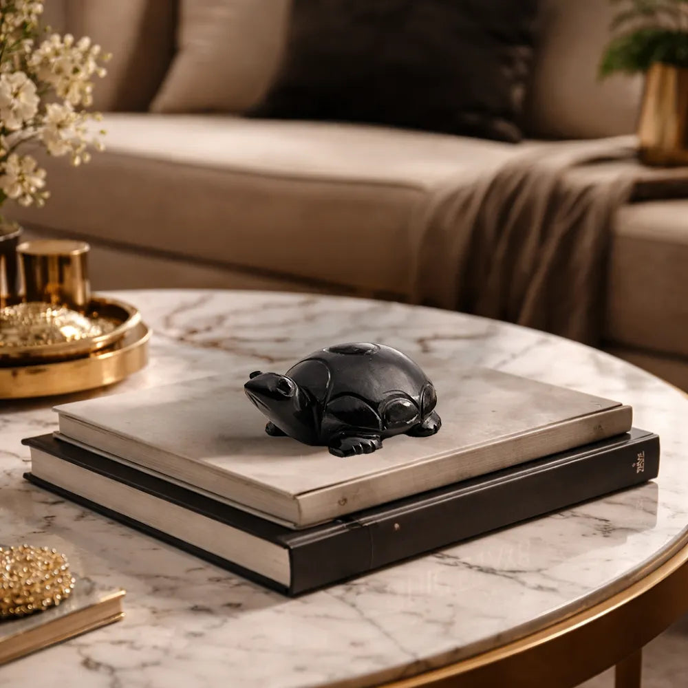 Decorative black turtle figurine on a stack of books on a marble table with a blurred sofa in the background.
