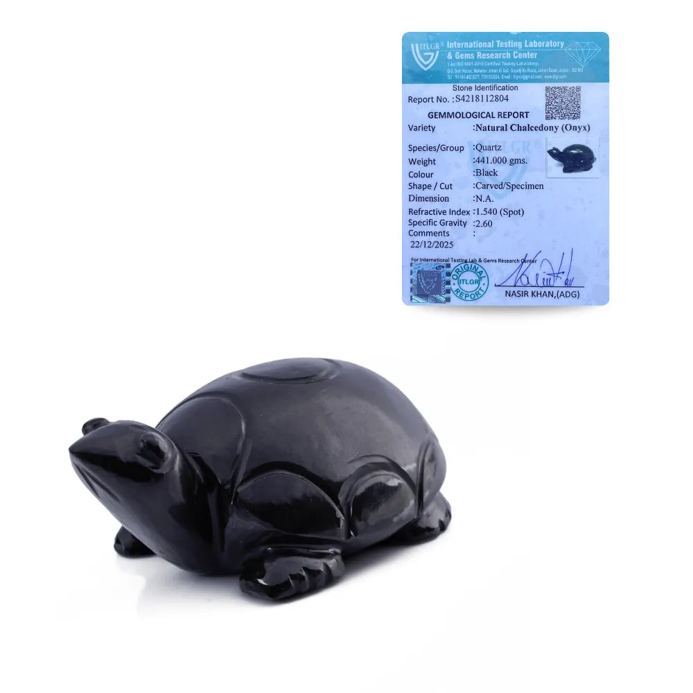 Black turtle-shaped object with a certification label on a white background