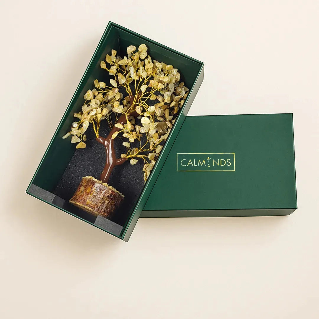 Green box with a decorative plant inside on a beige background, featuring the brand 'CALM NDS'.